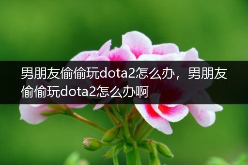 男朋友偷偷玩dota2怎么办，男朋友偷偷玩dota2怎么办啊