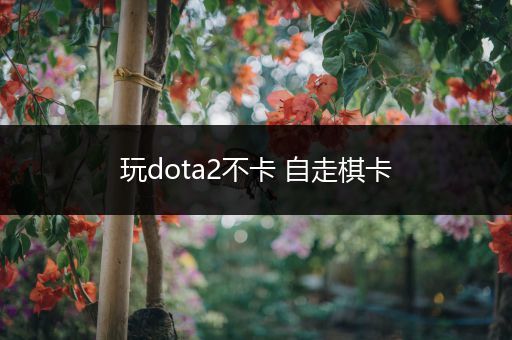 玩dota2不卡 自走棋卡