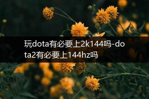 玩dota有必要上2k144吗-dota2有必要上144hz吗