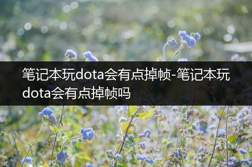笔记本玩dota会有点掉帧-笔记本玩dota会有点掉帧吗
