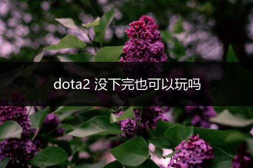 dota2 没下完也可以玩吗