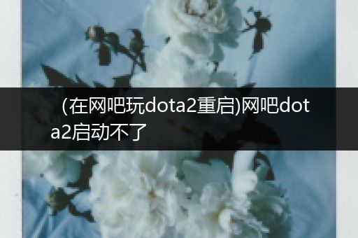 （在网吧玩dota2重启)网吧dota2启动不了