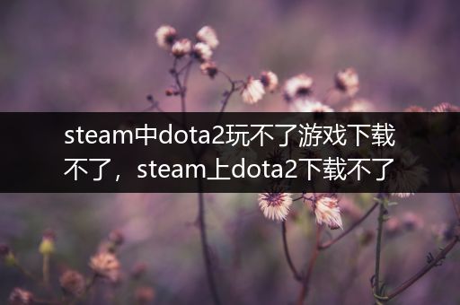 steam中dota2玩不了游戏下载不了，steam上dota2下载不了