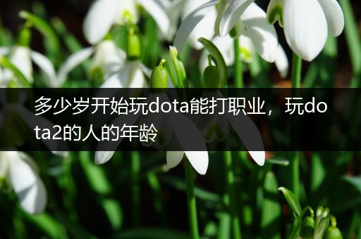 多少岁开始玩dota能打职业，玩dota2的人的年龄