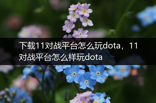 下载11对战平台怎么玩dota，11对战平台怎么样玩dota