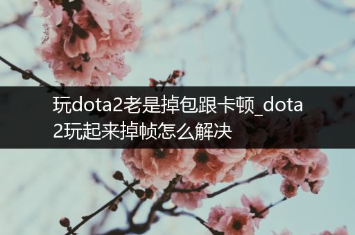 玩dota2老是掉包跟卡顿_dota2玩起来掉帧怎么解决