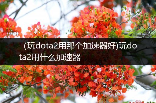 （玩dota2用那个加速器好)玩dota2用什么加速器