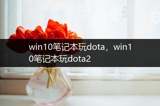 win10笔记本玩dota，win10笔记本玩dota2