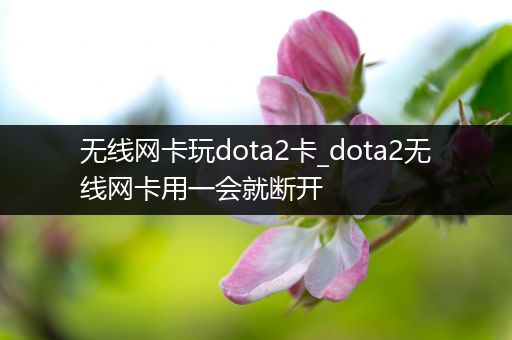 无线网卡玩dota2卡_dota2无线网卡用一会就断开