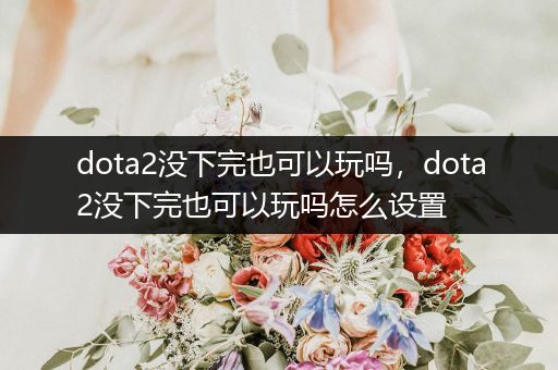 dota2没下完也可以玩吗，dota2没下完也可以玩吗怎么设置