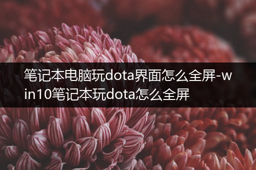 笔记本电脑玩dota界面怎么全屏-win10笔记本玩dota怎么全屏