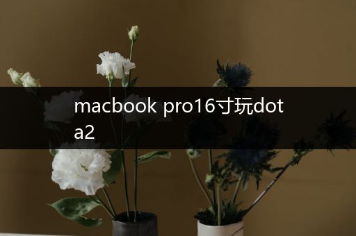 macbook pro16寸玩dota2