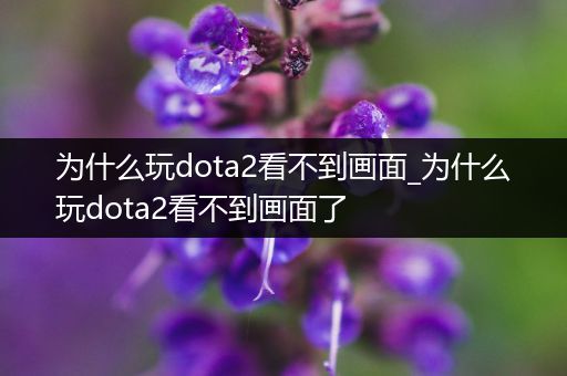为什么玩dota2看不到画面_为什么玩dota2看不到画面了