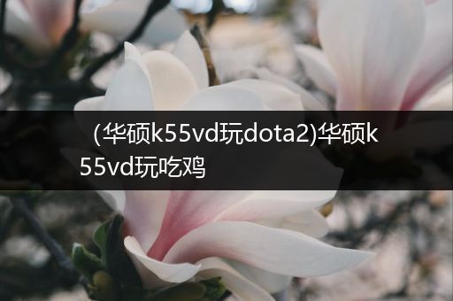 （华硕k55vd玩dota2)华硕k55vd玩吃鸡