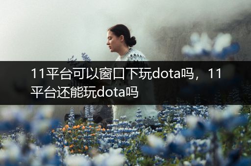11平台可以窗口下玩dota吗，11平台还能玩dota吗
