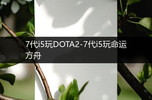 7代i5玩DOTA2-7代i5玩命运方舟