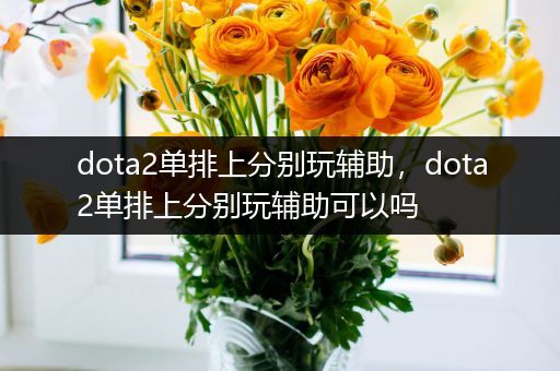 dota2单排上分别玩辅助，dota2单排上分别玩辅助可以吗