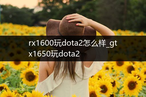 rx1600玩dota2怎么样_gtx1650玩dota2