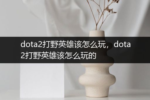 dota2打野英雄该怎么玩，dota2打野英雄该怎么玩的