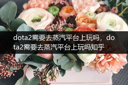 dota2需要去蒸汽平台上玩吗，dota2需要去蒸汽平台上玩吗知乎