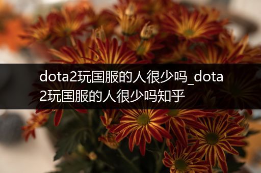 dota2玩国服的人很少吗_dota2玩国服的人很少吗知乎
