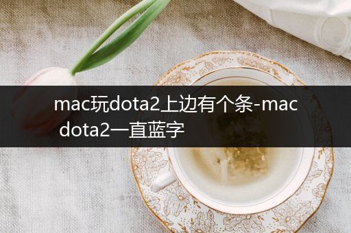 mac玩dota2上边有个条-mac dota2一直蓝字