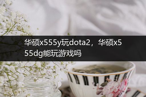 华硕x555y玩dota2，华硕x555dg能玩游戏吗