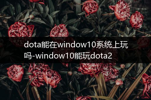 dota能在window10系统上玩吗-window10能玩dota2