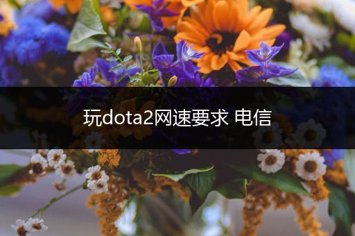 玩dota2网速要求 电信