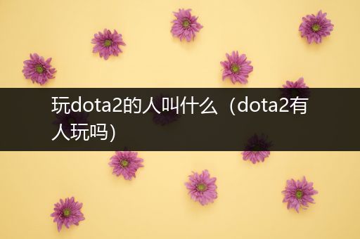 玩dota2的人叫什么（dota2有人玩吗）