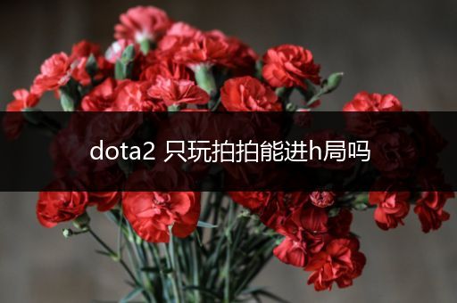 dota2 只玩拍拍能进h局吗