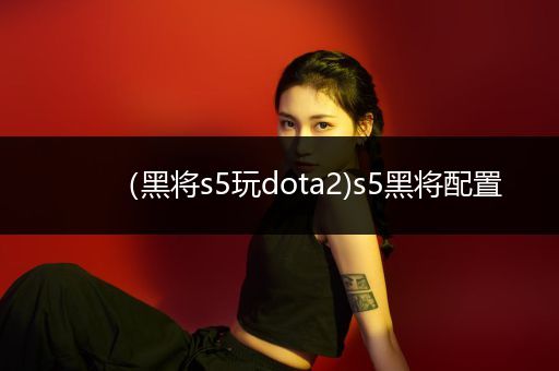 （黑将s5玩dota2)s5黑将配置