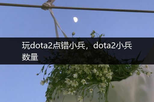 玩dota2点错小兵，dota2小兵数量