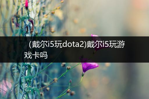 （戴尔i5玩dota2)戴尔i5玩游戏卡吗