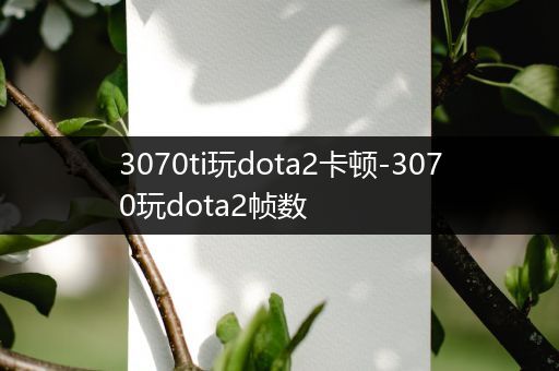 3070ti玩dota2卡顿-3070玩dota2帧数