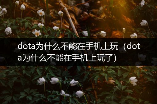dota为什么不能在手机上玩（dota为什么不能在手机上玩了）