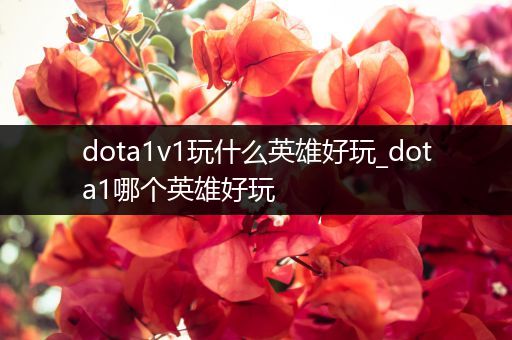 dota1v1玩什么英雄好玩_dota1哪个英雄好玩