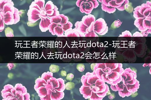 玩王者荣耀的人去玩dota2-玩王者荣耀的人去玩dota2会怎么样