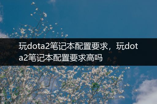 玩dota2笔记本配置要求，玩dota2笔记本配置要求高吗