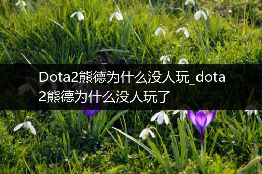 Dota2熊德为什么没人玩_dota2熊德为什么没人玩了
