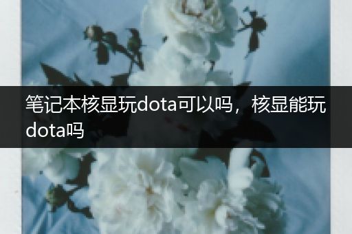 笔记本核显玩dota可以吗，核显能玩dota吗