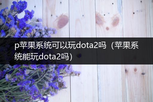 p苹果系统可以玩dota2吗（苹果系统能玩dota2吗）