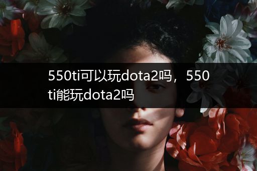 550ti可以玩dota2吗，550ti能玩dota2吗