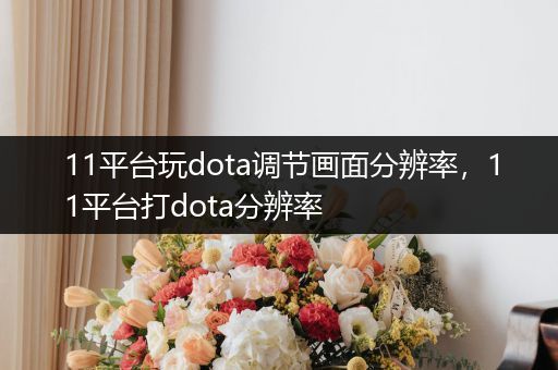 11平台玩dota调节画面分辨率，11平台打dota分辨率