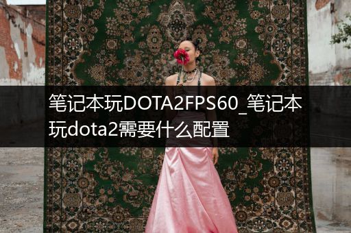 笔记本玩DOTA2FPS60_笔记本玩dota2需要什么配置