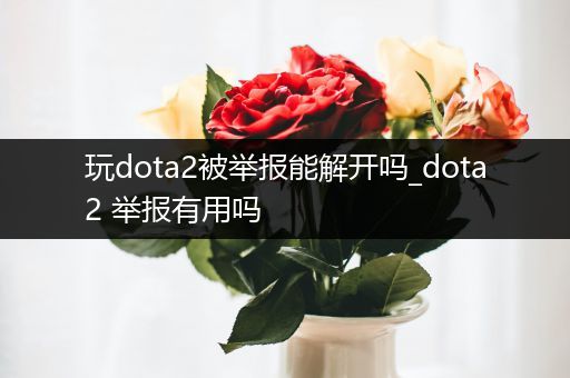 玩dota2被举报能解开吗_dota2 举报有用吗