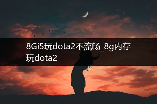 8Gi5玩dota2不流畅_8g内存玩dota2