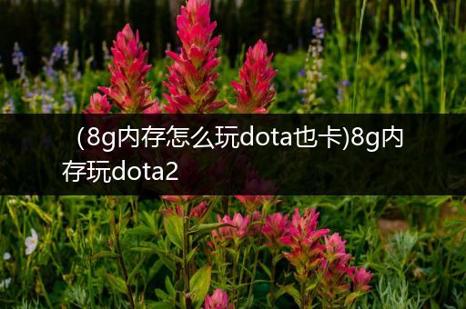 （8g内存怎么玩dota也卡)8g内存玩dota2