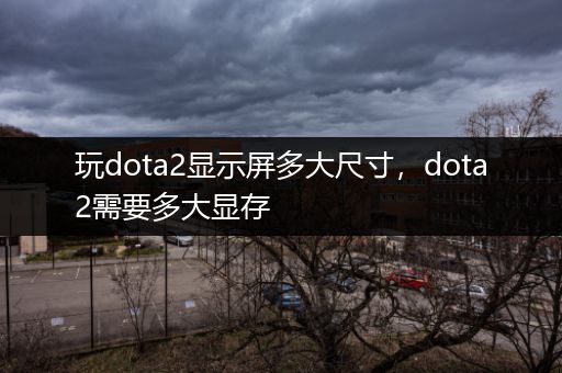 玩dota2显示屏多大尺寸，dota2需要多大显存