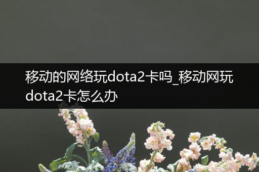 移动的网络玩dota2卡吗_移动网玩dota2卡怎么办